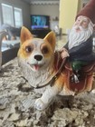 Super Cute  Gnome Riding Corgi Dog Figurine New  Red Point Hat Garden Gnome