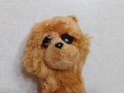 Ty 6  Plush Barley Brown Puppy Dog