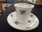 Vintage Salisbury Bone China Old Man Of The Mountain Cup   Saucer