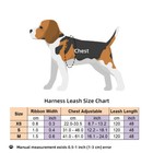 Small Dog Cat Harness Leash Adjustable Vest Collar Puppy Outdoor  Xs S M Size
