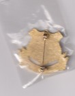 Afghanistan Distinctive Insignia Di Pin Jeweled Pinback Nato Souvenier