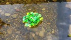 Artificial Floating Hyacinth Flower Pack Great Koi Pond Decor And Shading