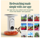 Birdbuddy Smart Non-solar Pro Hummingbird Feeder With Camera - Upc 850035422496