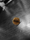 Caterpillar 20 Year Service Pin