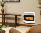 Dyna-glo Ir30nmdg-1 30 000 Btu Natural Gas Infrared Wall Heater Red