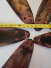 Muskrat Pelts