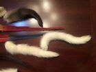 Antique Vintage Millinery Hat Feathers Fur 9 Piece Lot