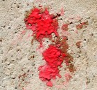 Shop4paintball Bloodball 500 Rounds   Paintballs - Red Ball   Red Fill