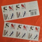 Scott 5317-5320 2018 Birds In Winter Booklet Of 100 Forever Stamps