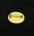 Ski New Mexico Pin 1  Badge Bar Enamel Oval Lapel Hat Travel Souvenir
