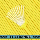 Fishlund 750lb 4mm 11 Strand Paracord Rope 50 -1000  Nylon Parachute Cord