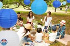 Lurico 16 Pcs Blue white Paper Lanterns  size Of 4     6     8     10     - Chinese j