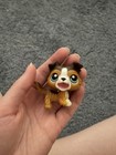 Rare Dog Lps