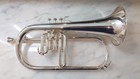 Yamaha Yfh-731 Flugelhorn Professional Excellent Used With Hard Case Mouthpiece