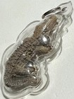 Crocodile Phra Lp Chung Rare Old Thai Buddha Amulet Pendant Magic Ancient Idol11
