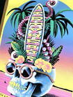 Dirty Heads Authentic Poster Red Rocks Co July 1st 2024 Screen Print Ap S n   65
