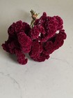 Cockscomb   Dried Flowers Celosia Bunch Bouquet Bundle Deep Hues  