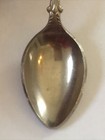 San Diego Zoo Wild Animal Park Vintage Souvenir Spoon Collectible