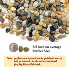 5lb Polished Pea Gravel For Fish Tank Plants  1 4  River Rocks