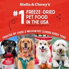 Stella   Chewy s Freeze Dried Raw Chewy   s Chicken 8 Ounce  pack Of 1   Red 