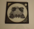 Antique Magic Lantern Slide Spinner Of Spider C1890 Microscope Photo