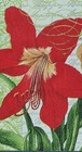 Two Individual Napkins Christmas  Amaryllis Flowers  Cocktail Decoupage  967 