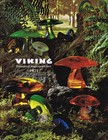 Viking Glass Co   22 Catalogs 1960-1985 On Usb Flash Drive  Swung Vases Mcm