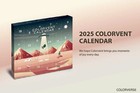 Colorverse 2025 Colorvent Calendar 3ml Fountain Pen Ink Sample Set 24 Color