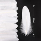 120pcs White Goose Feathers Natural Bulk 6-8 Inch 15-20cm For Crafts