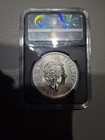 2017 Silver Britannia 1oz Coin Ngc 20th Anniversary Privy Low Mintage  120 000 
