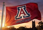 Arizona Wildcats 3x5 Foot Flag banner  Brand New Usa Seller