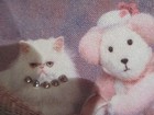 Persian Cat   Teddy Bear   True Love   Coin Purse