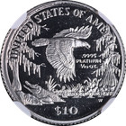 1999-w Platinum American Eagle  10 Ngc Pf69 Ultra Cameo Brown Label - Stock