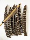 50x Full Length Arrow Feathers Turkey Fletches Fletching Rw Lw Archery Shaft Diy
