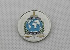 Interpol Lapel Pin