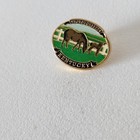 Thoroughbred Kentucky Horse Lapel Souvenir Pin