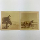 Vintage 1953 Color Photo Lot Of 6 Horses Horse Stables Ranch Reins Country
