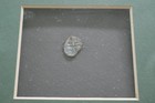Authentic 1715 Spanish Fleet Half Reale Framed W  Coa Gulfstream Rarities Framed