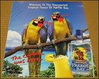 2001 Captain Morgan Parrot Bay Puerto Rican Rum Print Ad Advertisement Vintage