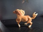 Tsc Series 8 Augustus Pony
