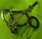 Kathy s Gorgeous Silver Horse Size Show Halter   Lead ruby Stones showmanship