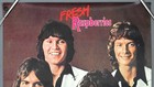 Raspberries     Rare Vintage Original 1972 Capitol Records Promo Poster  fresh 