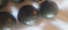 Wham-o Super Balls Bonanza  Bounce Til The House Shakes 