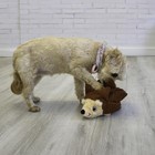 Kong Layerz Forage Hedgehog M