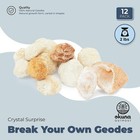 Okuna Outpost Break Your Own Geodes  Crystal Surprise  12 Pack 