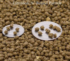 Insectivore Food Hedgehog Sugar Glider Bird Dragon Pellet Treat Choose Size   