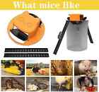 2pack Black Slide Bucket Lid Mouse Rat Trap Bucket Mousetrap Catcher Us Stock