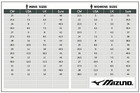 New Mizuno Volleyball Shoes Wave Lightning Z8 V1ga2400 41 
