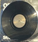 Serato Official Control Vinyl