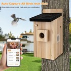 Smart Wifi Bird House Camera 3mp With Motion Detection For Outdoor Bird Watching